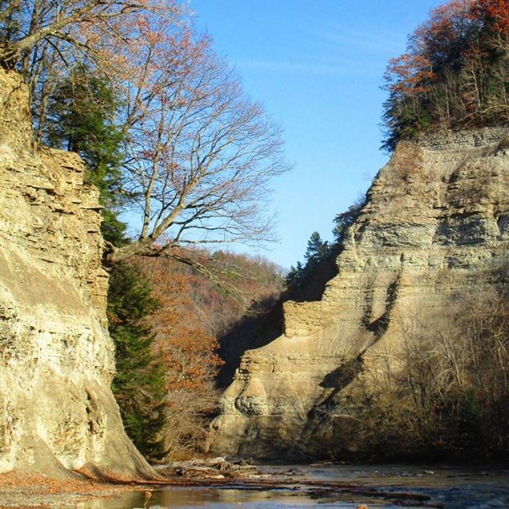 Photo: Zoar Valley Photo: Zoar Valley