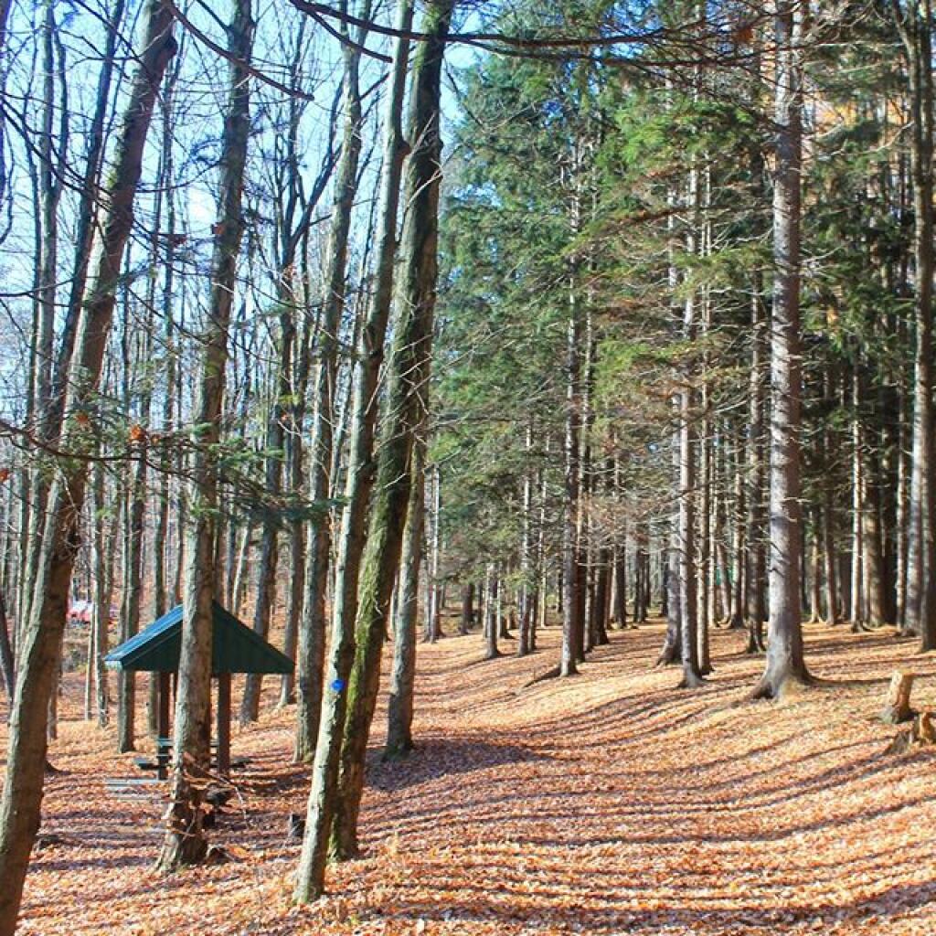 Photo: Overlook Trail Photo: Overlook Trail