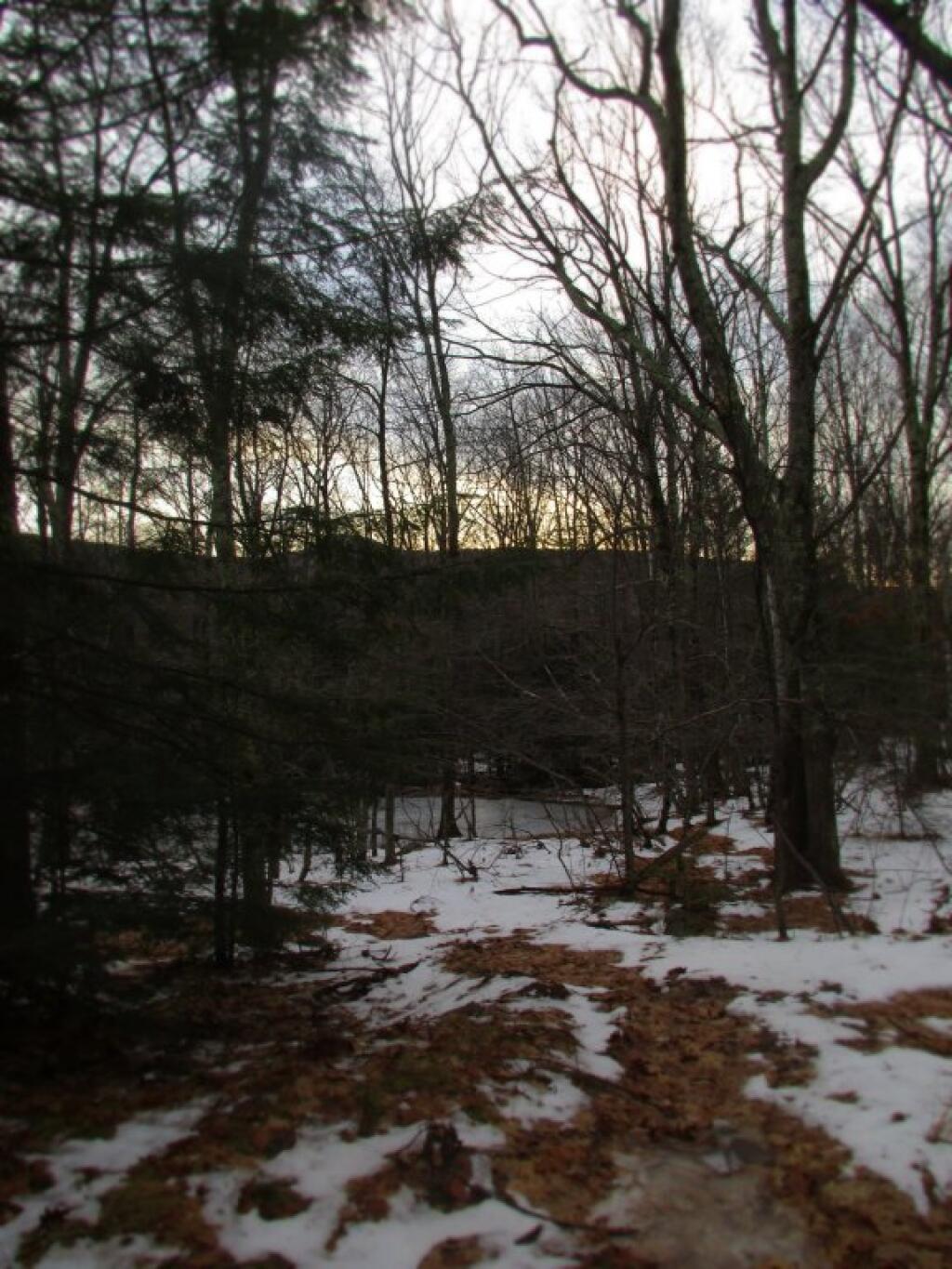 Photo: Along Kaaterskill Rail Trail Photo: Along Kaaterskill Rail Trail