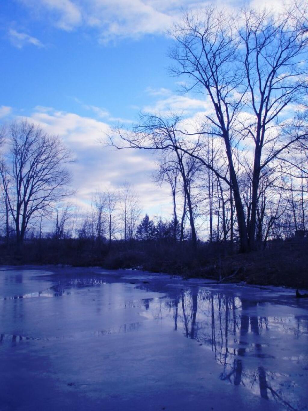Photo: Pond Photo: Pond