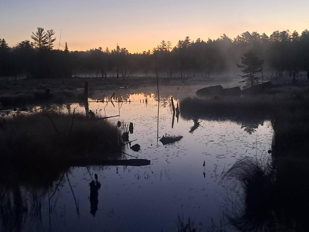 Photo: East Pine Pond Photo: East Pine Pond