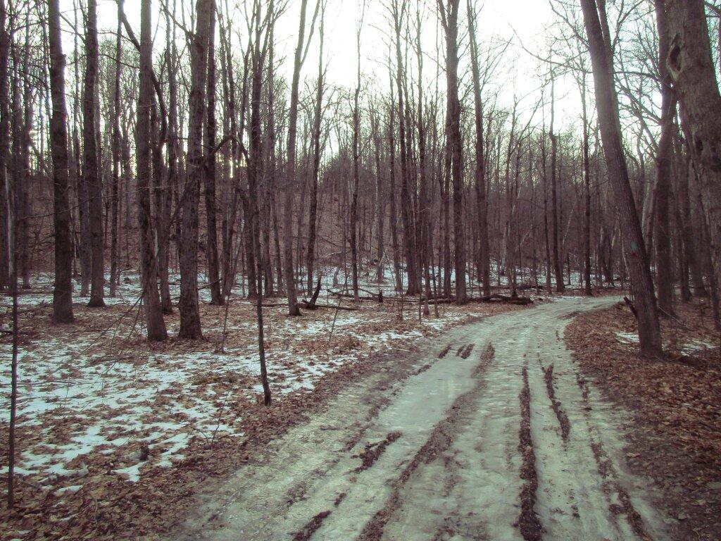 Photo: Trail Was Icy In Spots Photo: Trail Was Icy In Spots