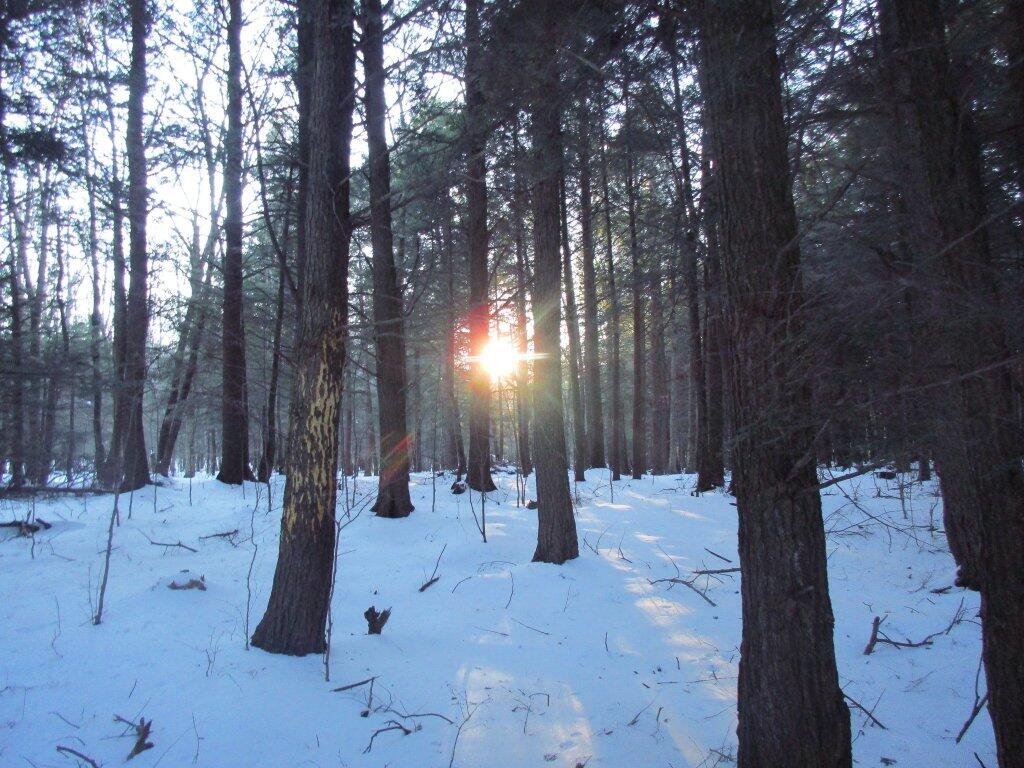 Photo: Sun