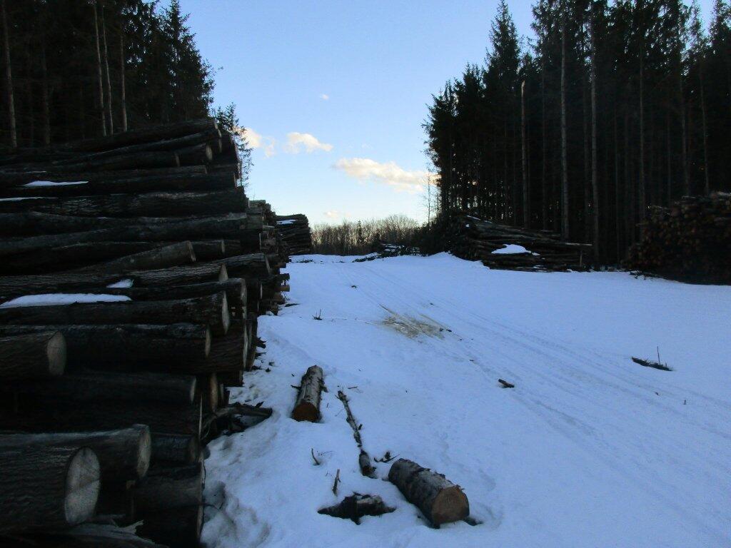 Photo: Big Timber Sale Photo: Big Timber Sale