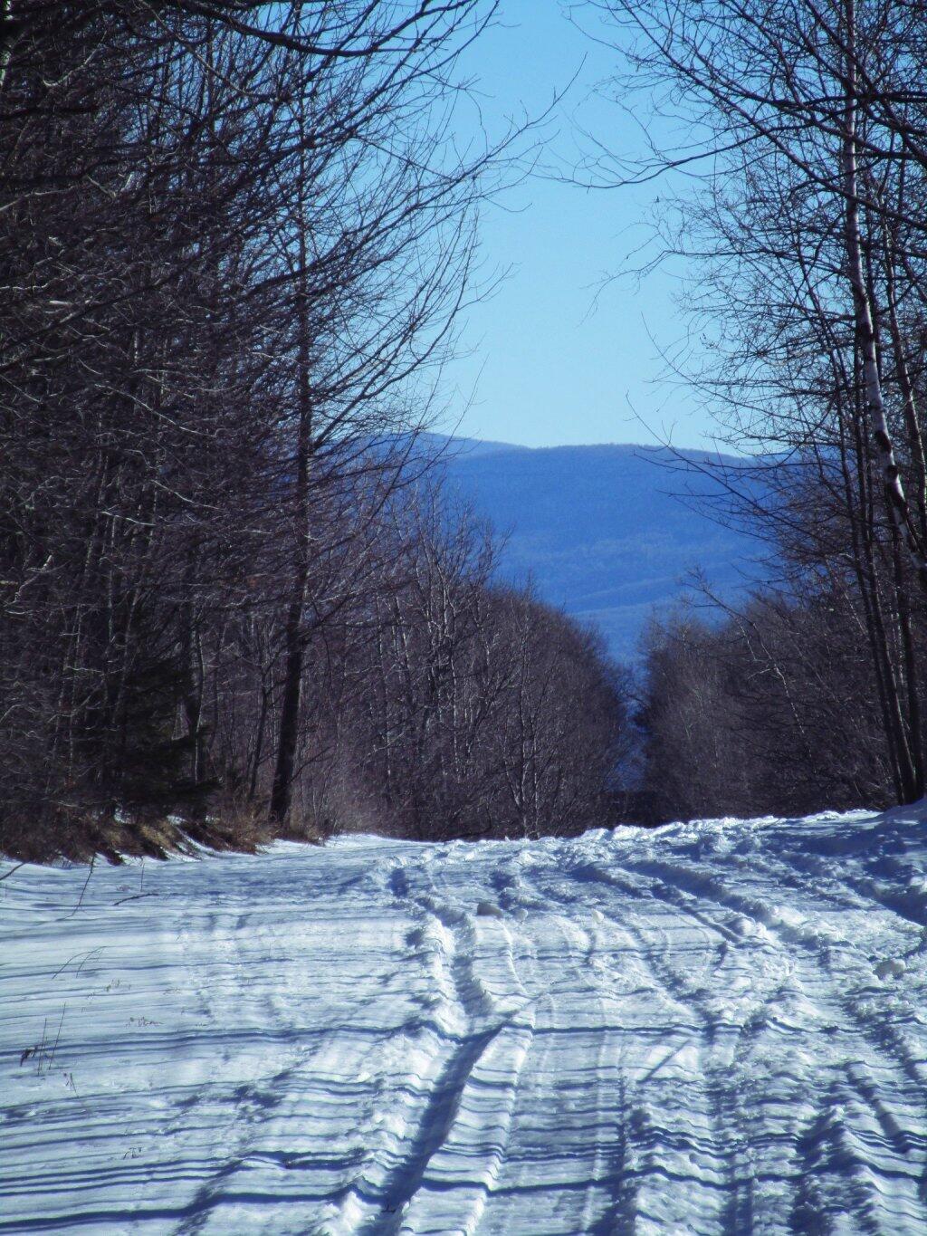 Photo: Scutt Road Photo: Scutt Road