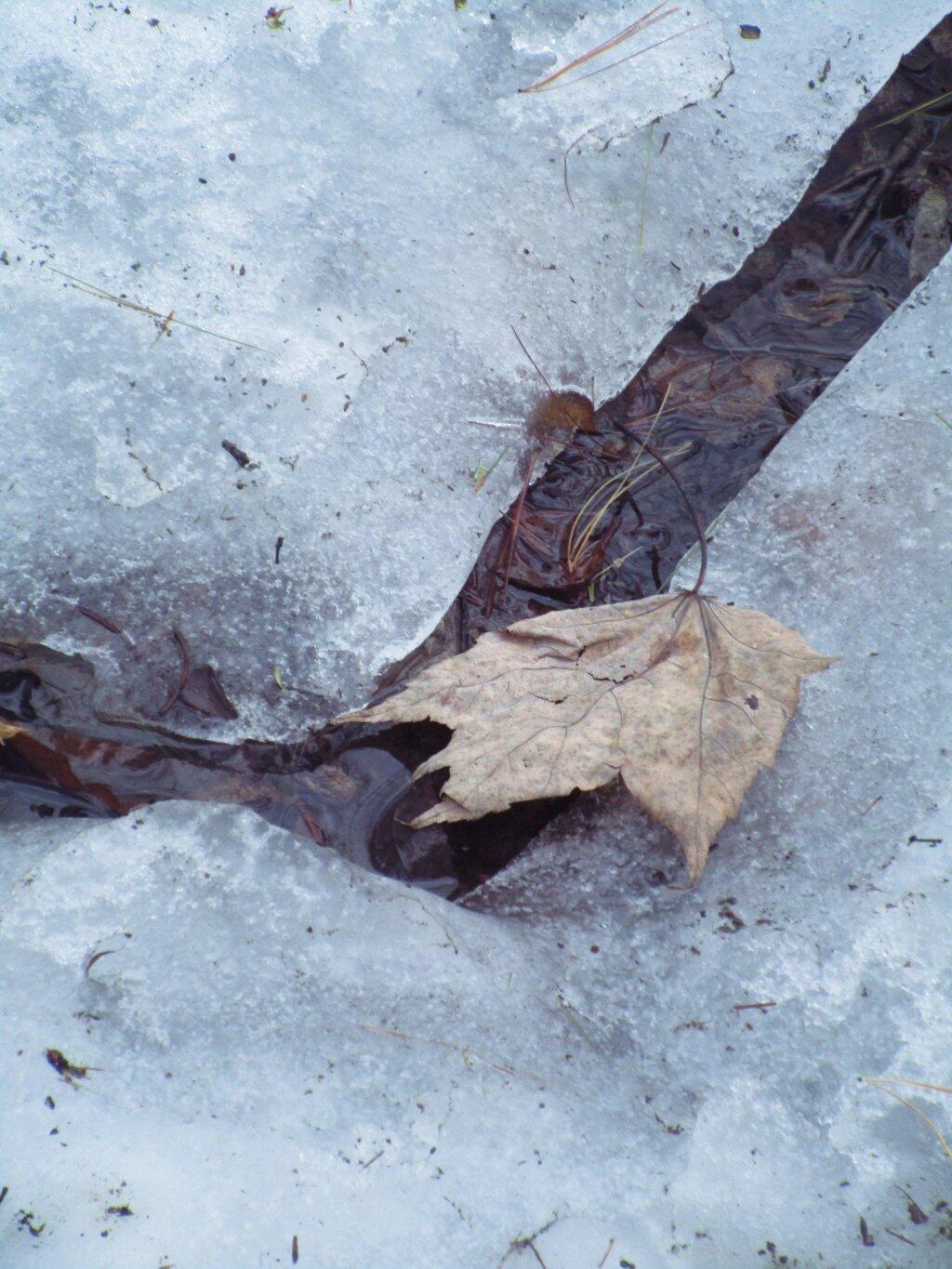 Photo: Crack In The Ice Photo: Crack In The Ice