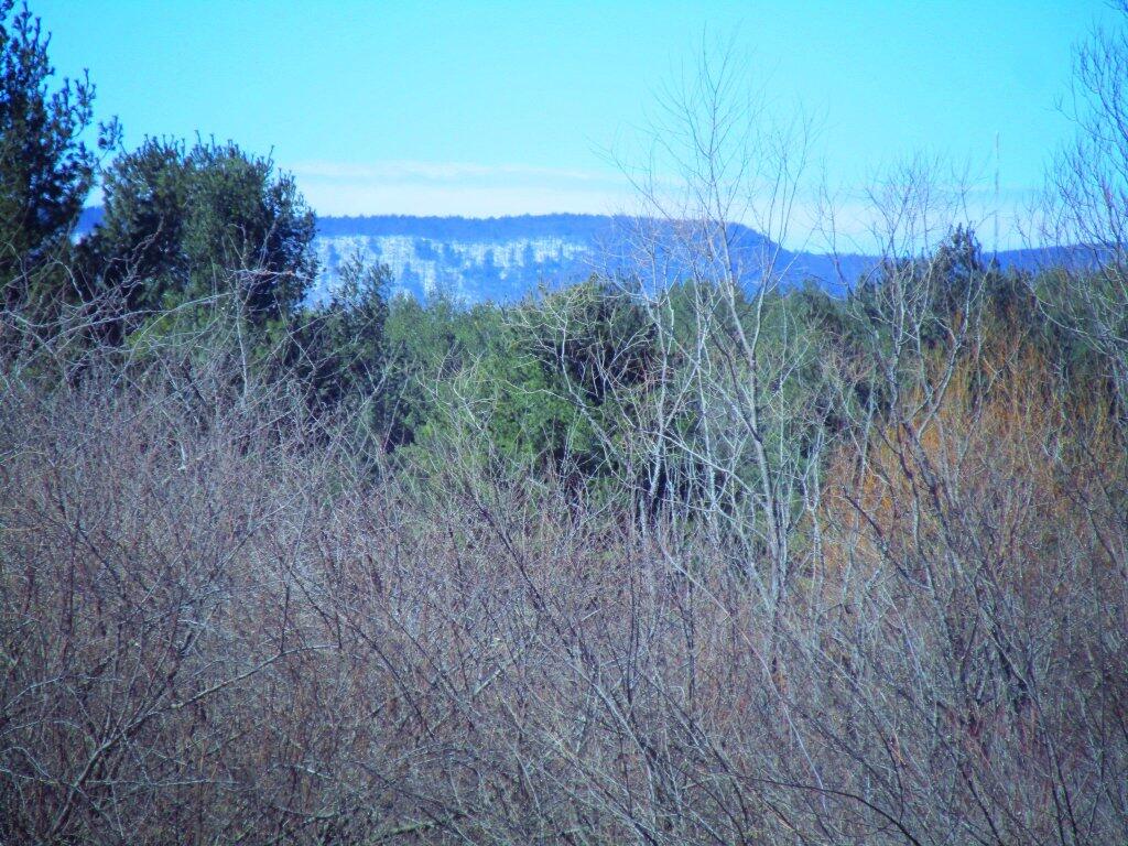 Photo: Still Snow In The Heldebergs Photo: Still Snow In The Heldebergs