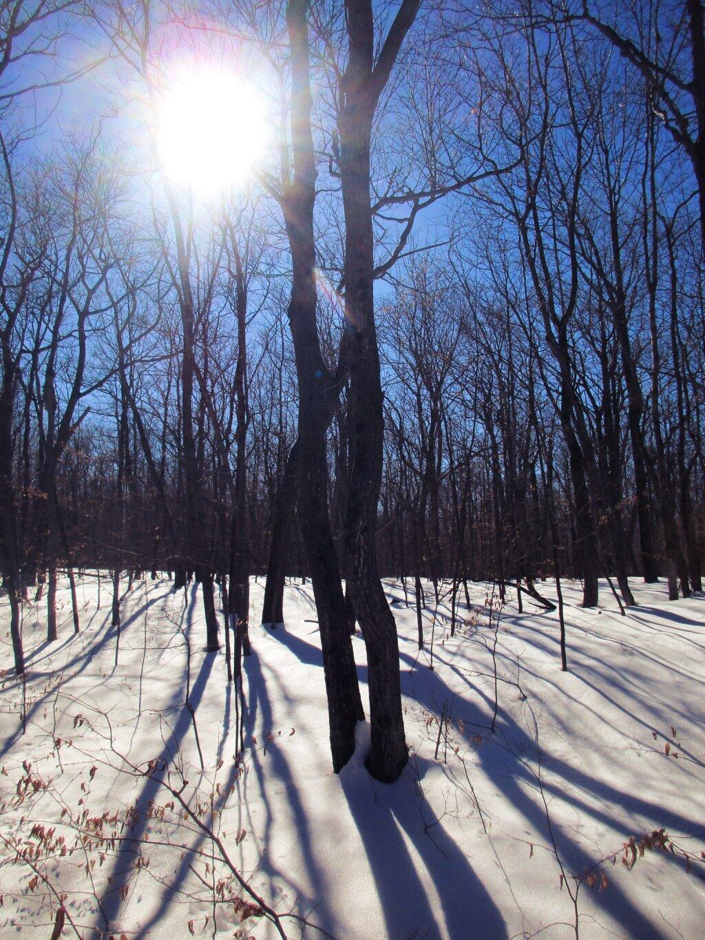 Photo: Bright Sun Photo: Bright Sun
