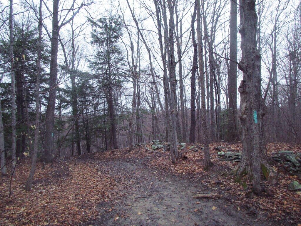 Photo: Muddy Trail