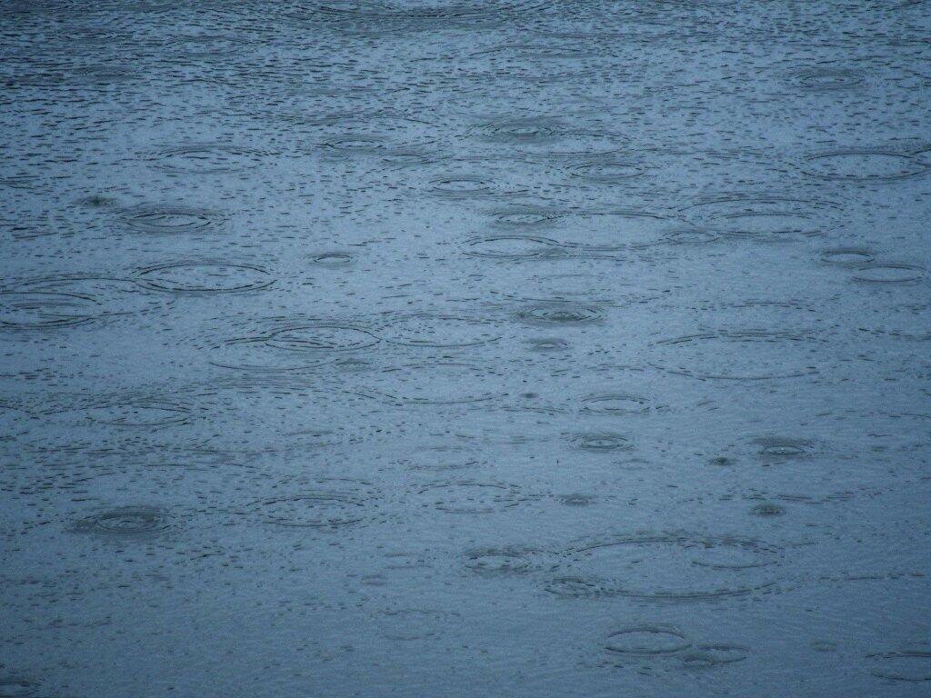 Photo: Rain Drops Photo: Rain Drops
