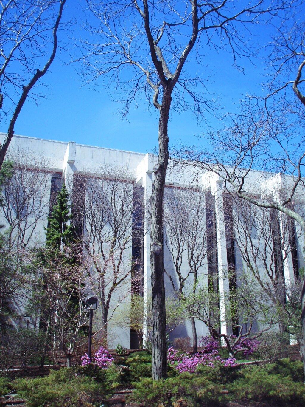 Photo: Spring At The State DMV Photo: Spring At The State DMV