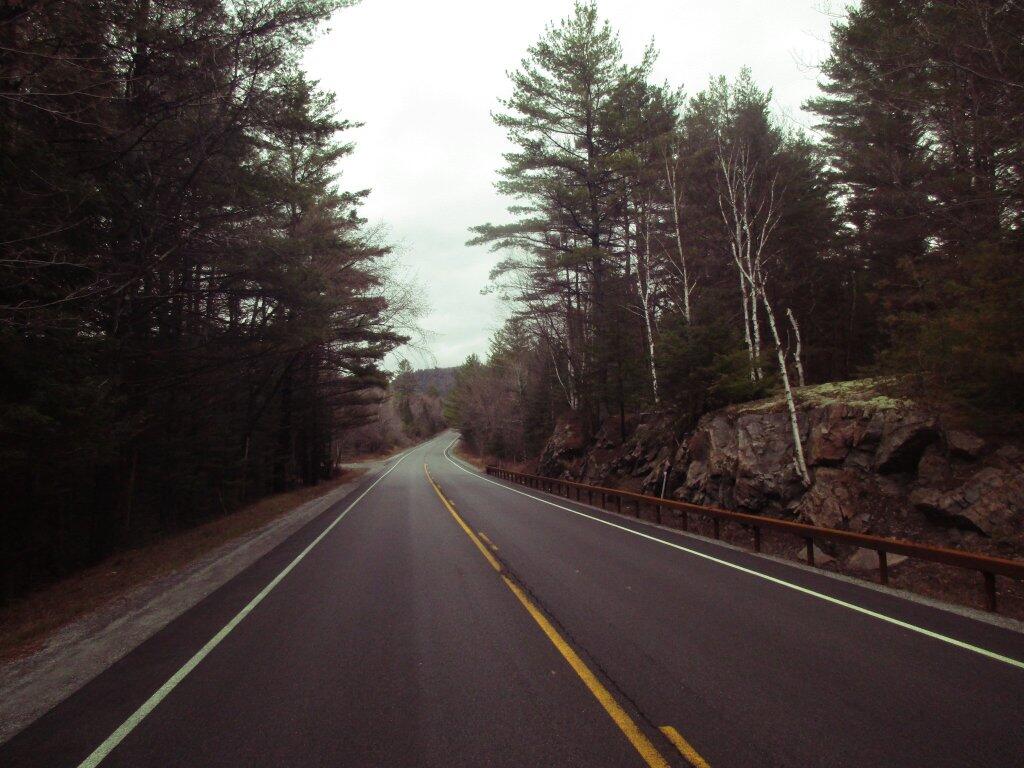 Photo: NY 8 Photo: NY 8
