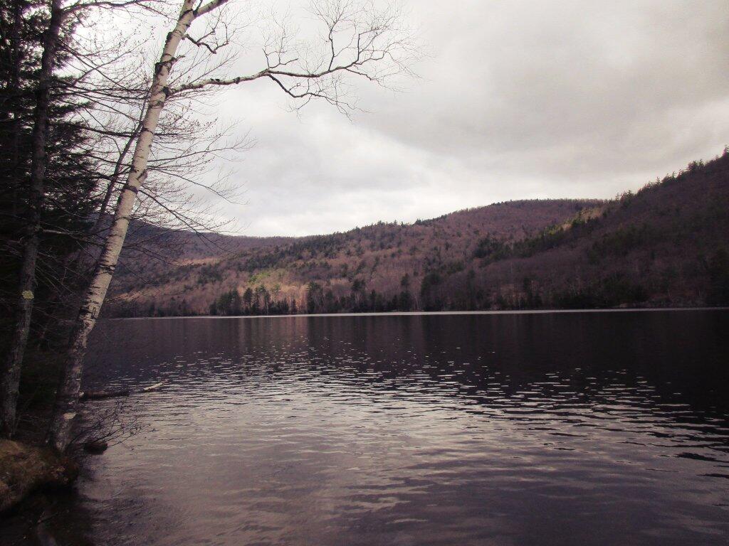 Photo: Shoreline Photo: Shoreline