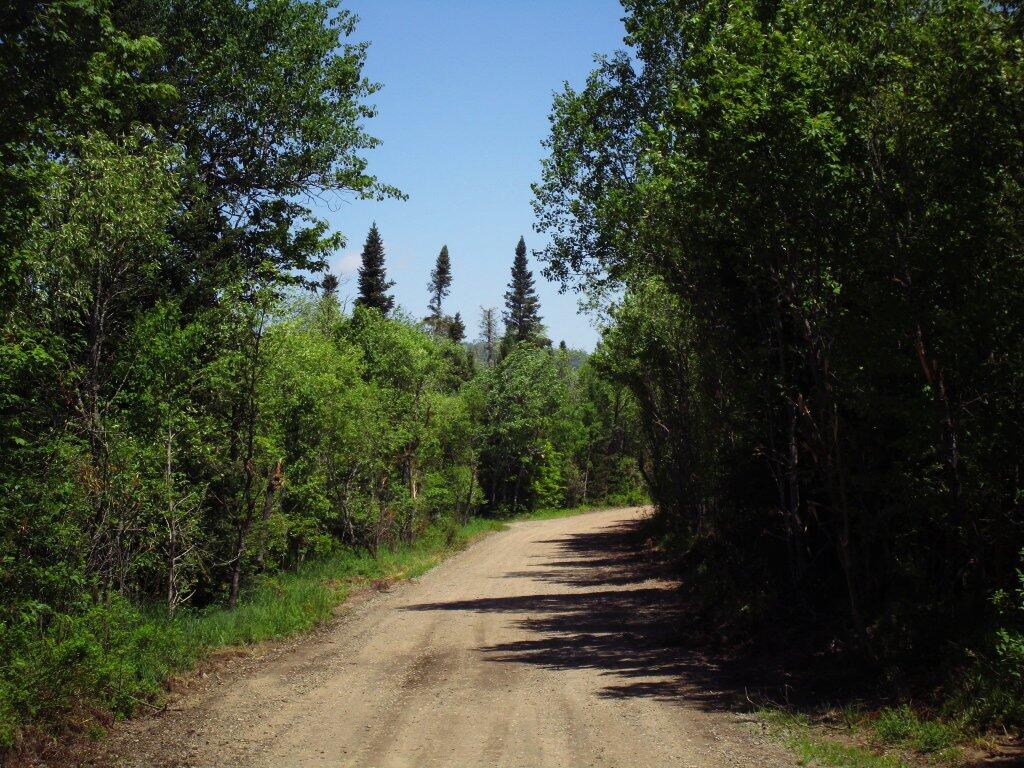 Photo: Pisceo Powley Road Photo: Pisceo Powley Road