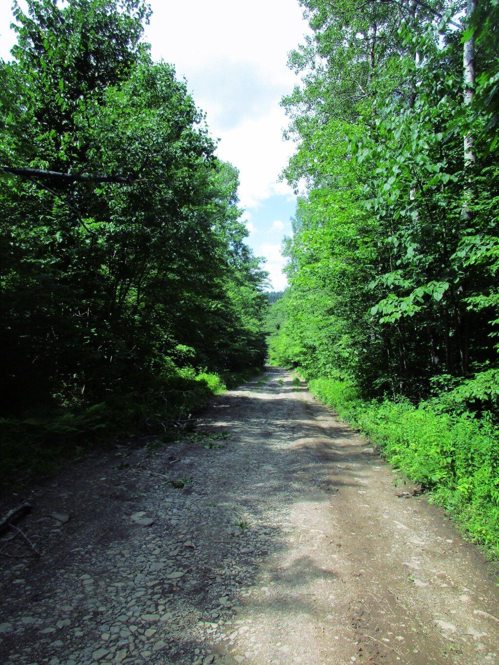 Photo: Beaver Road Photo: Beaver Road