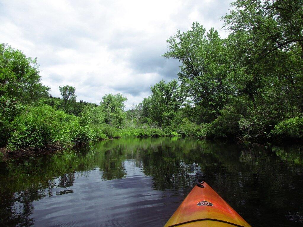 Photo: Paddling Along Photo: Paddling Along