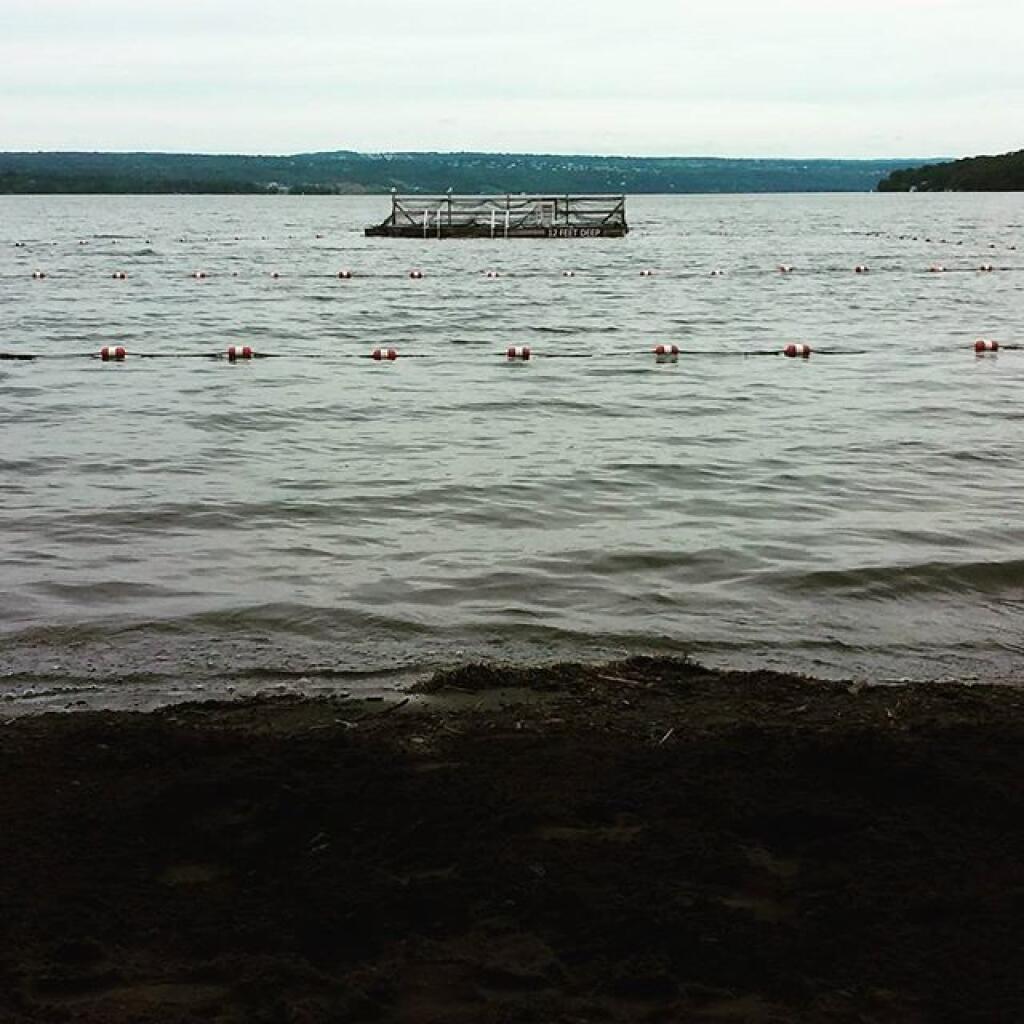 Photo: Done swimming for the day Photo: Done swimming for the day
