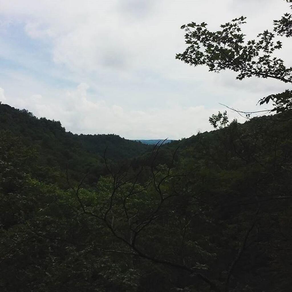 Photo: The Glen from the Great Staircase Photo: The Glen from the Great Staircase