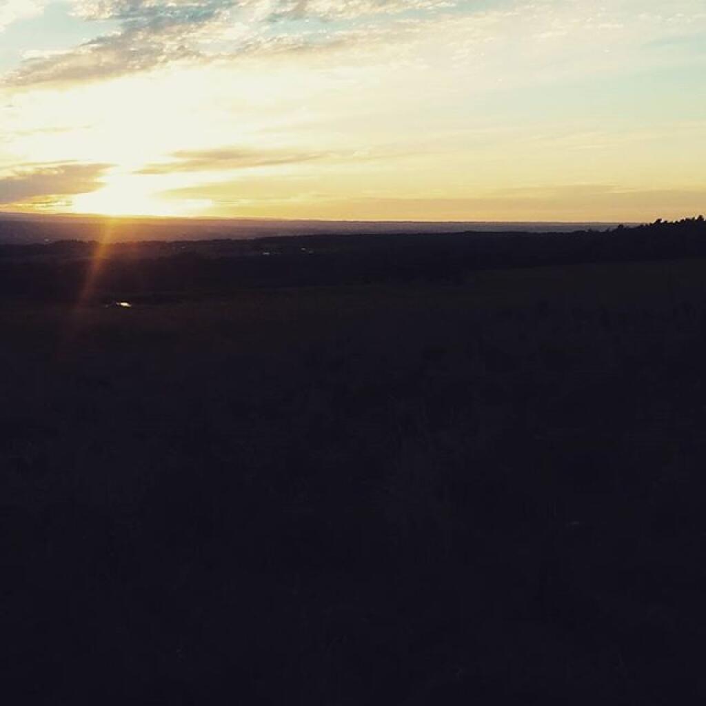 Photo: Evening sunset walk in Horton Pasture Photo: Evening sunset walk in Horton Pasture