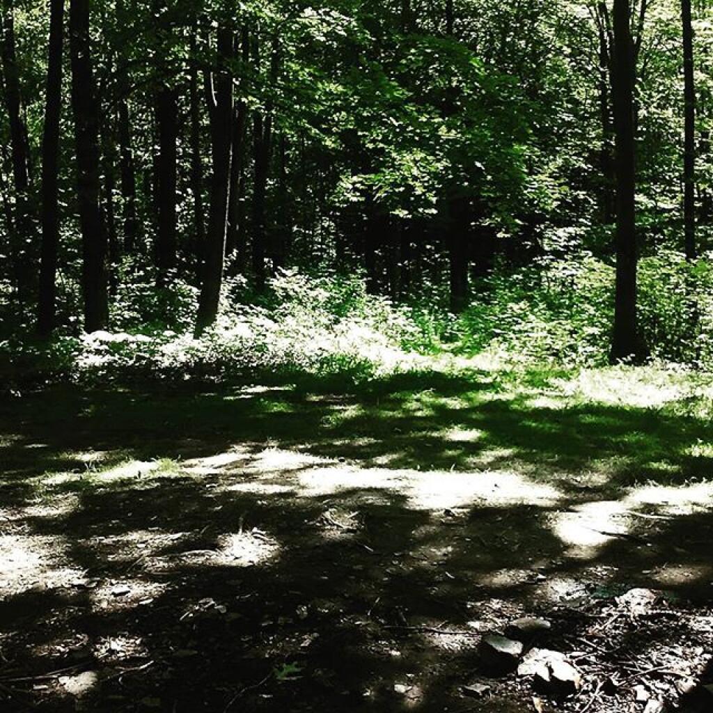 Photo: Deconsecrated Photo: Deconsecrated