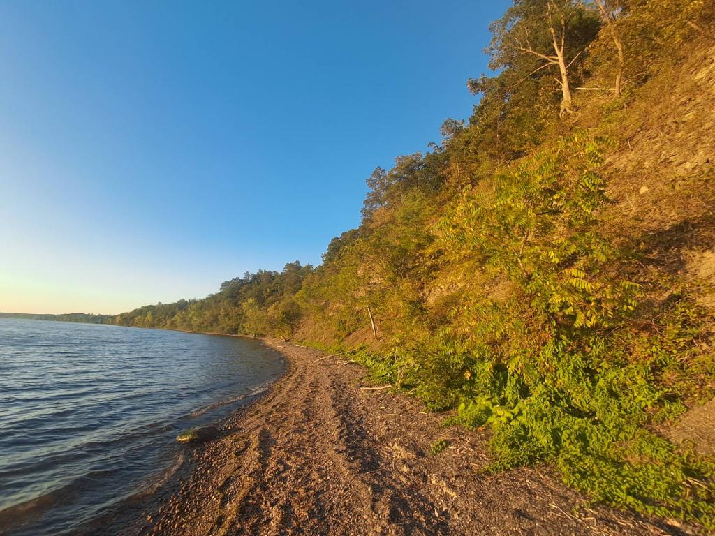 Photo: Willard Cliffs Photo: Willard Cliffs