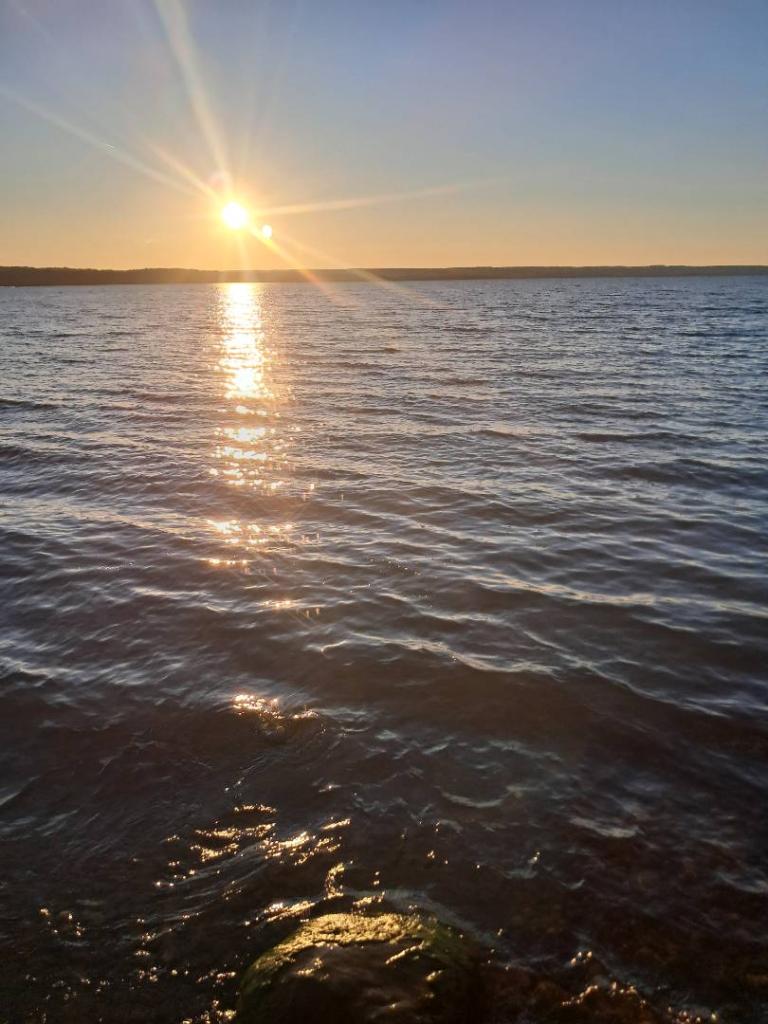 Photo: Evening Sun