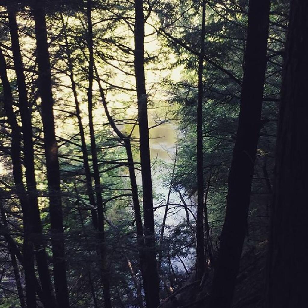 Photo: Undeveloped creek Photo: Undeveloped creek