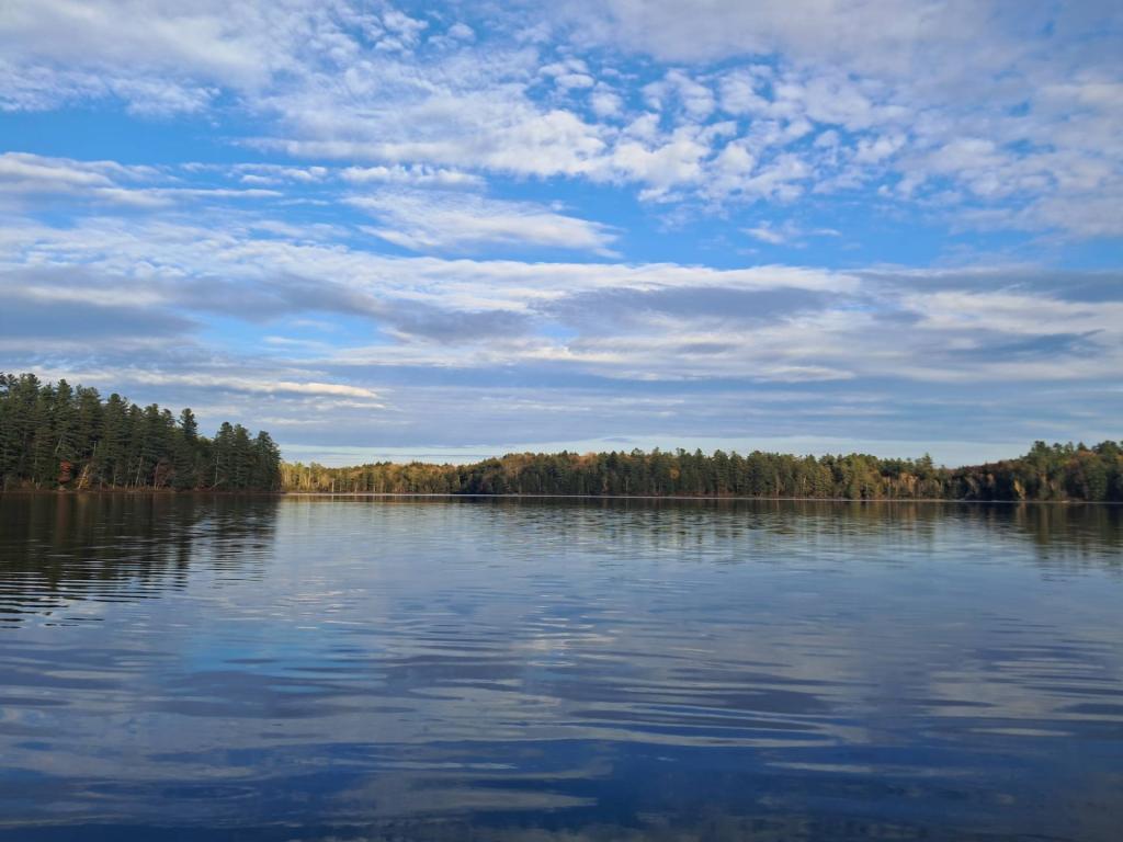 Photo: Floodwood Pond Photo: Floodwood Pond