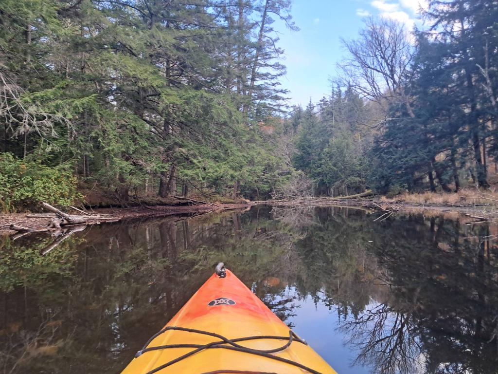 Photo: Quiet on Fish Creek Photo: Quiet on Fish Creek