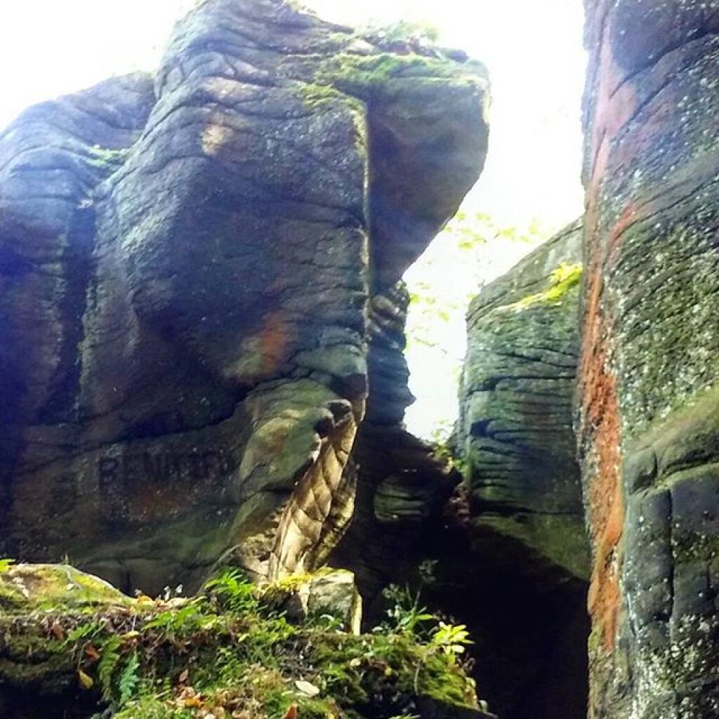 Photo: Light filters through Photo: Light filters through
