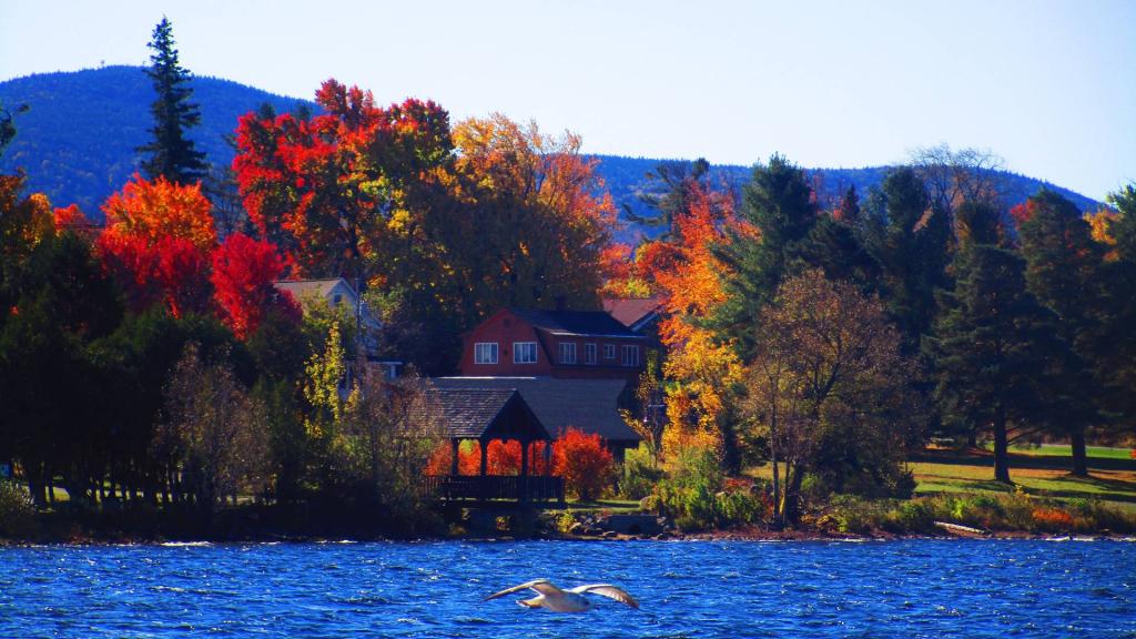 Photo: Autumn Day Photo: Autumn Day