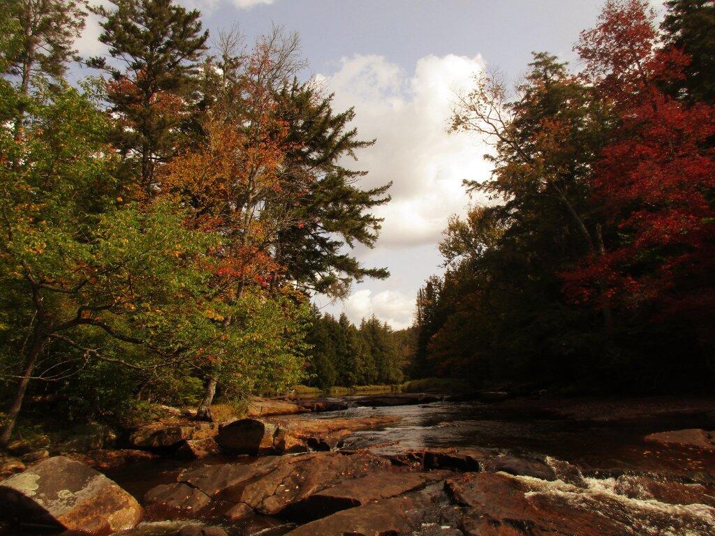 Photo: Autumn Is Coming To The Potholers Photo: Autumn Is Coming To The Potholers