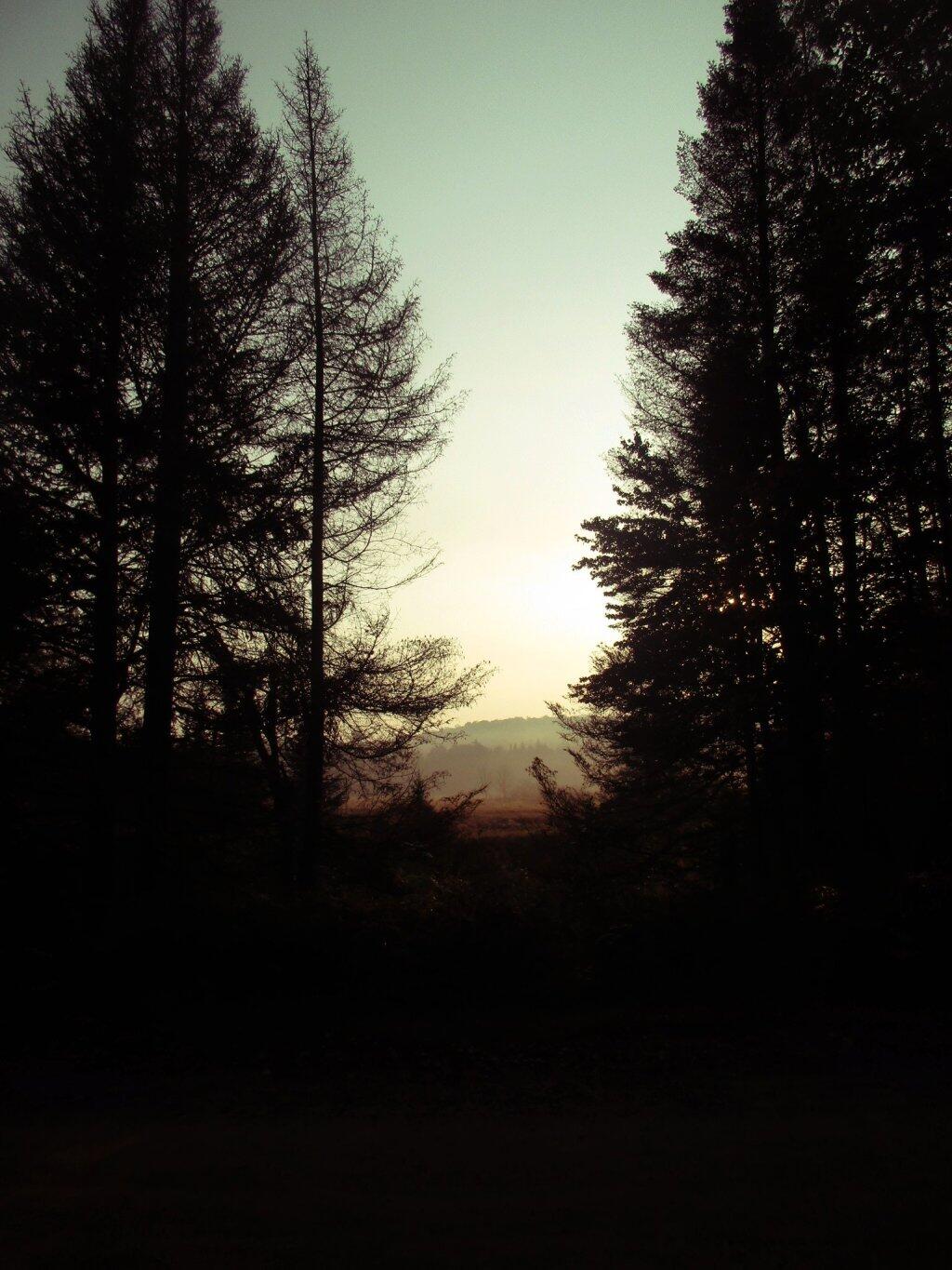 Photo: Morning Light Photo: Morning Light