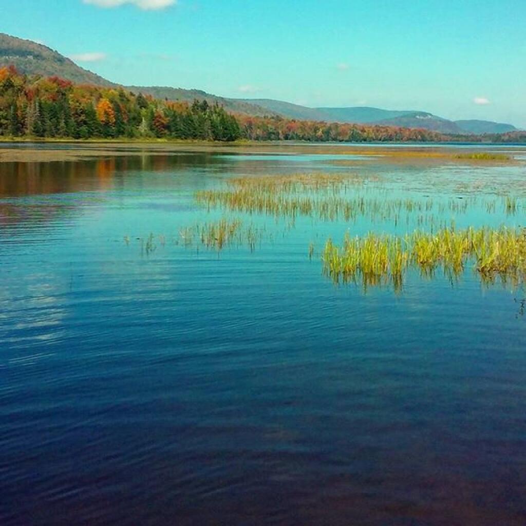 Photo: Sturges Hills Photo: Sturges Hills
