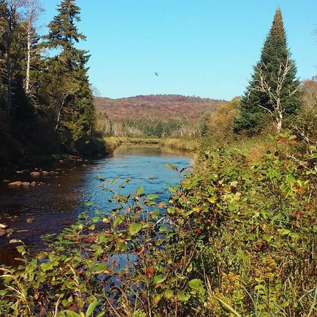 Photo: Moose River is a short walk from the campsite Photo: Moose River is a short walk from the campsite