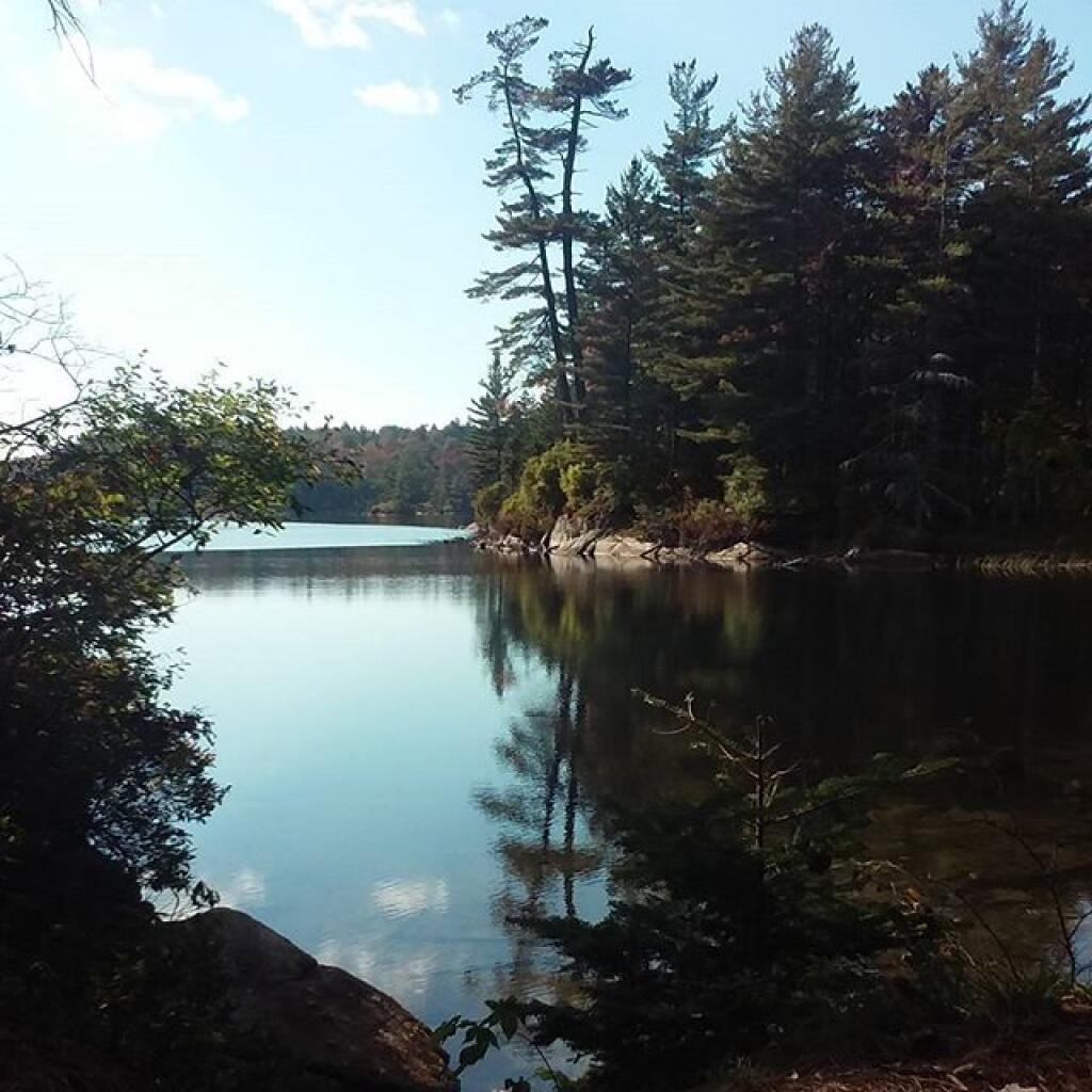 Photo: Squaw Lake Photo: Squaw Lake
