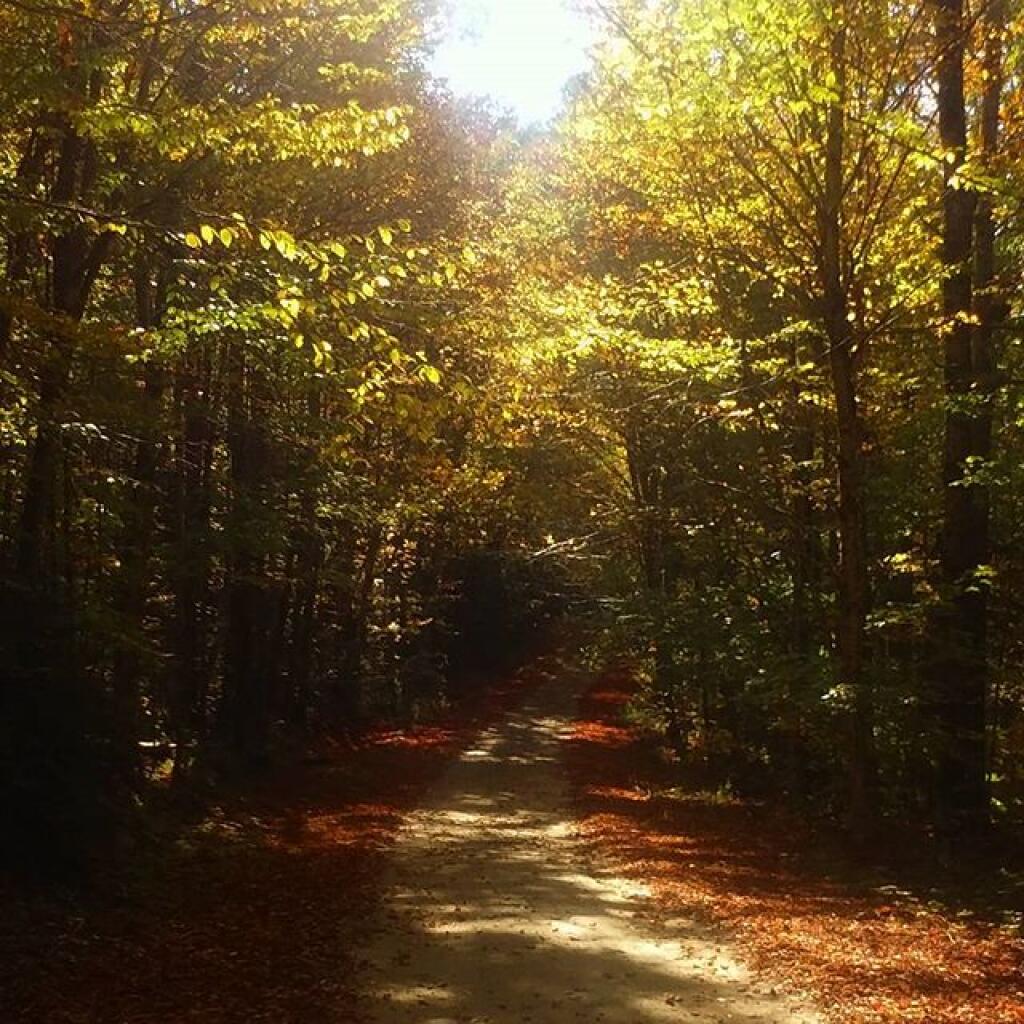 Photo: Indian Lake Road Photo: Indian Lake Road