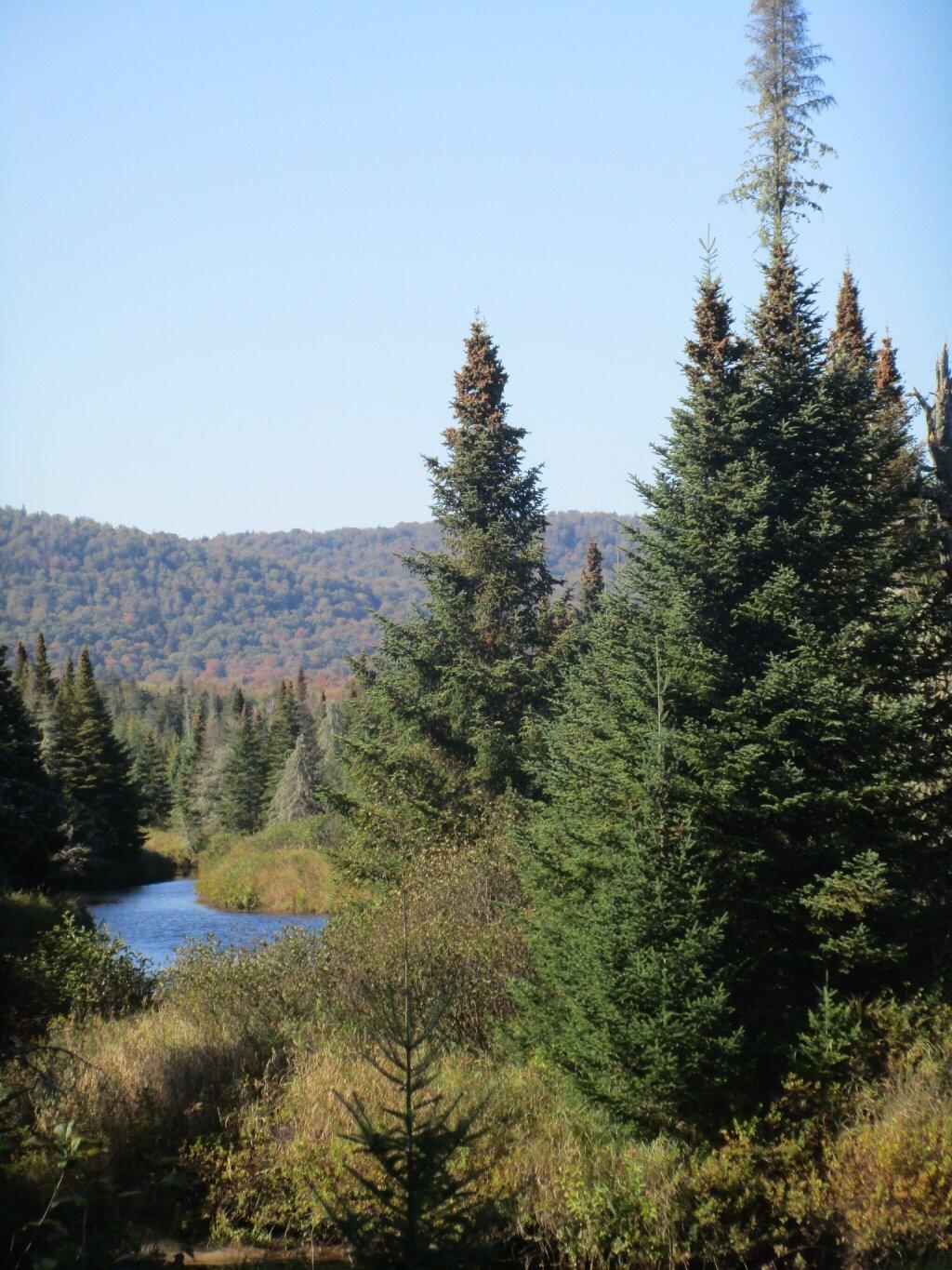 Photo: Wilderness Photo: Wilderness