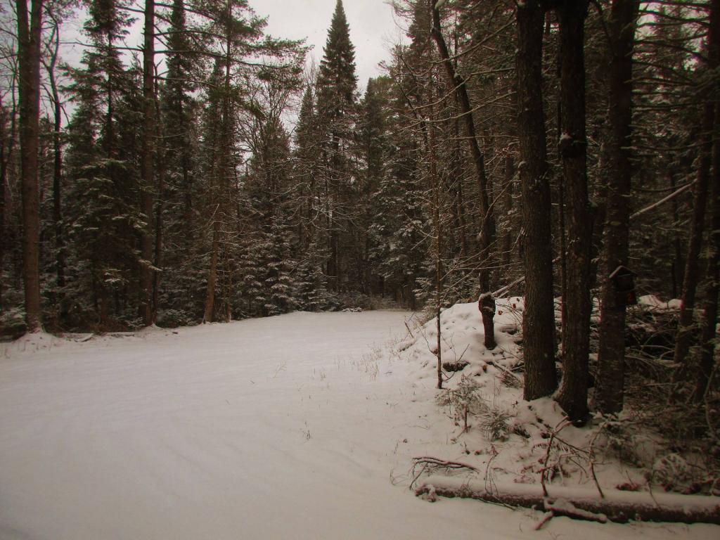 Photo: Moose Club Way Campsite 2 Photo: Moose Club Way Campsite 2