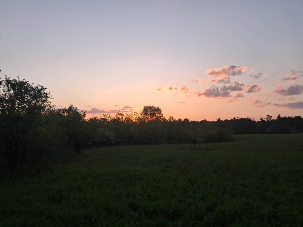 Photo: Dusk [Expires June 1 2026]