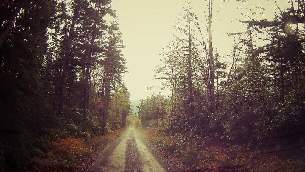 Photo: Rainy when I got to West Virginia
