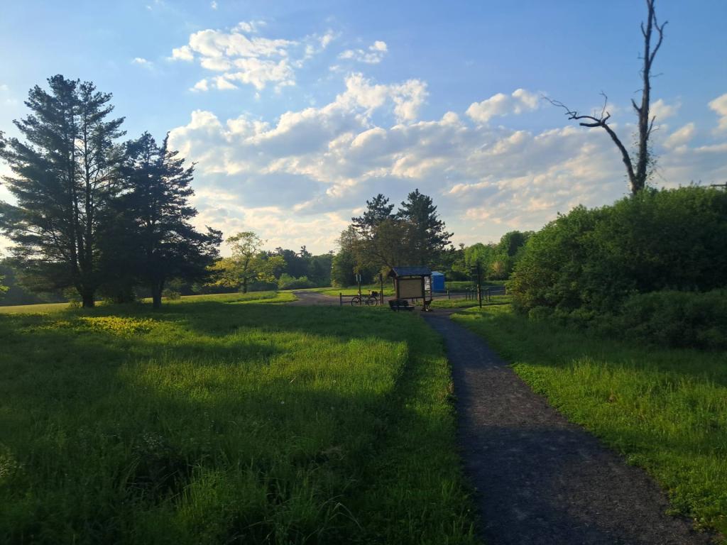 Photo: Evening [Expires June 1 2026]