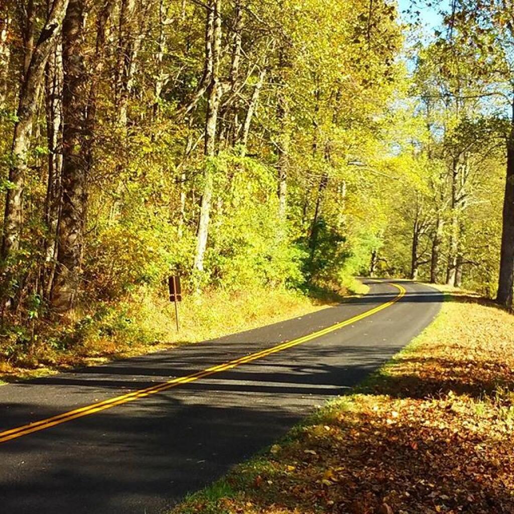 Photo: Morning from the Blue Ridge Parkway Photo: Morning from the Blue Ridge Parkway