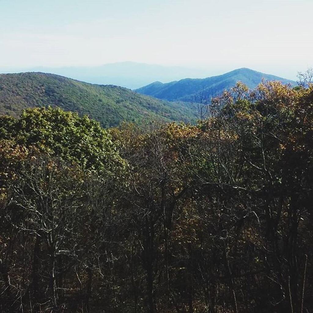 Photo: Apple Orchard Mountain Vista Photo: Apple Orchard Mountain Vista