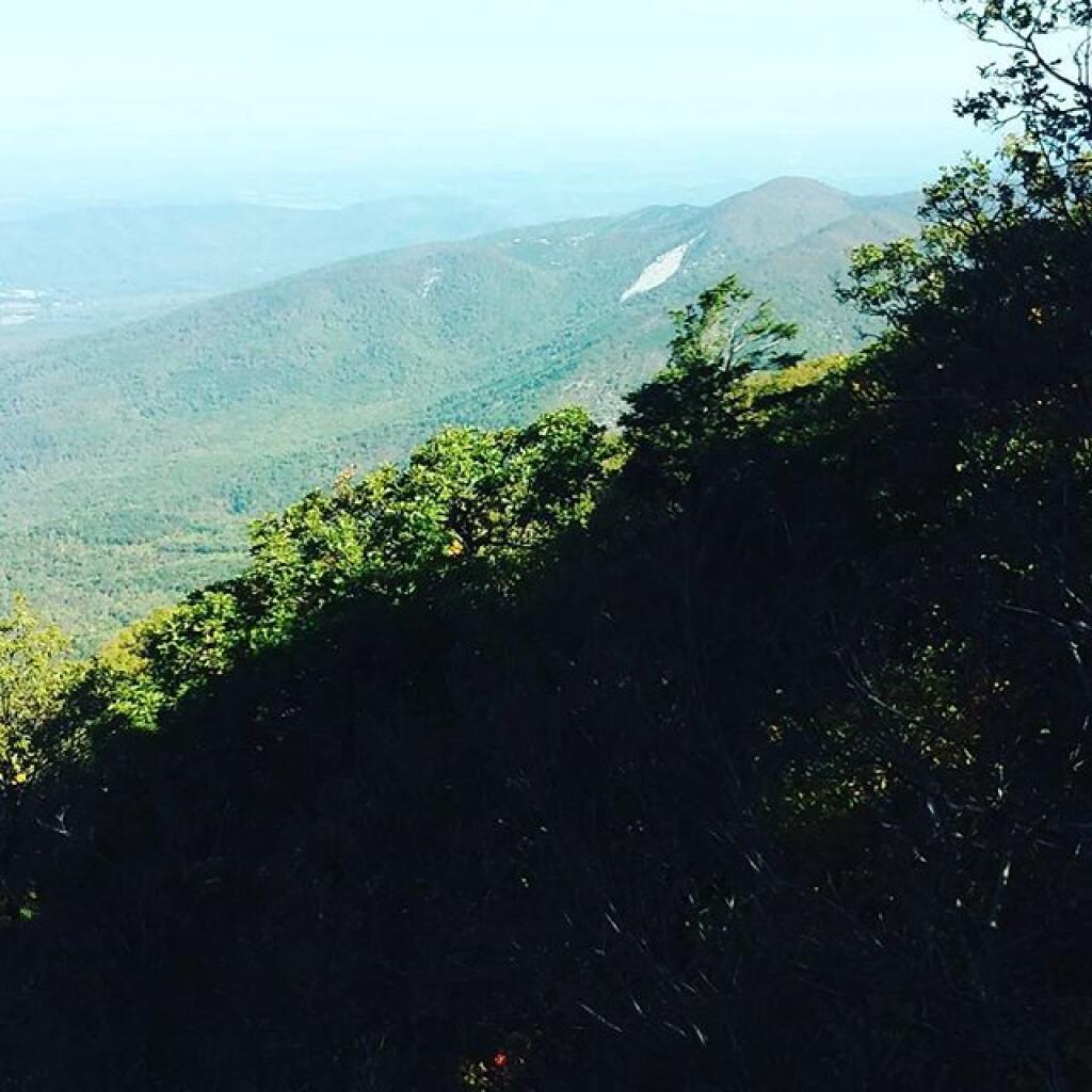 Photo: From Thunder Ridge Overlook Photo: From Thunder Ridge Overlook