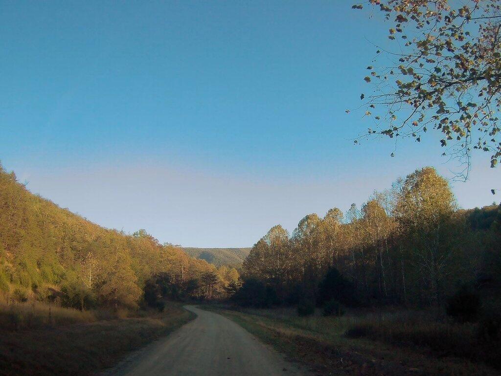 Photo: Along Camp Run Road Photo: Along Camp Run Road