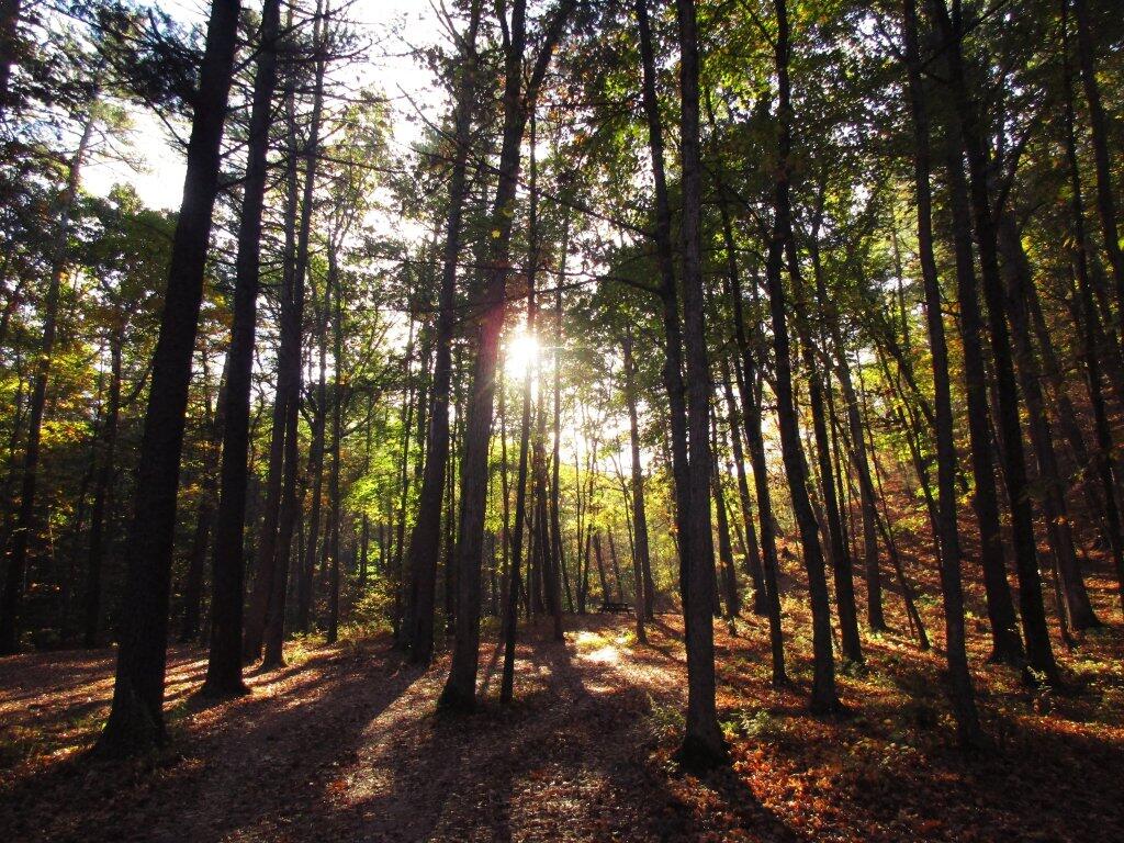 Photo: Sunrise At Camp Run Photo: Sunrise At Camp Run