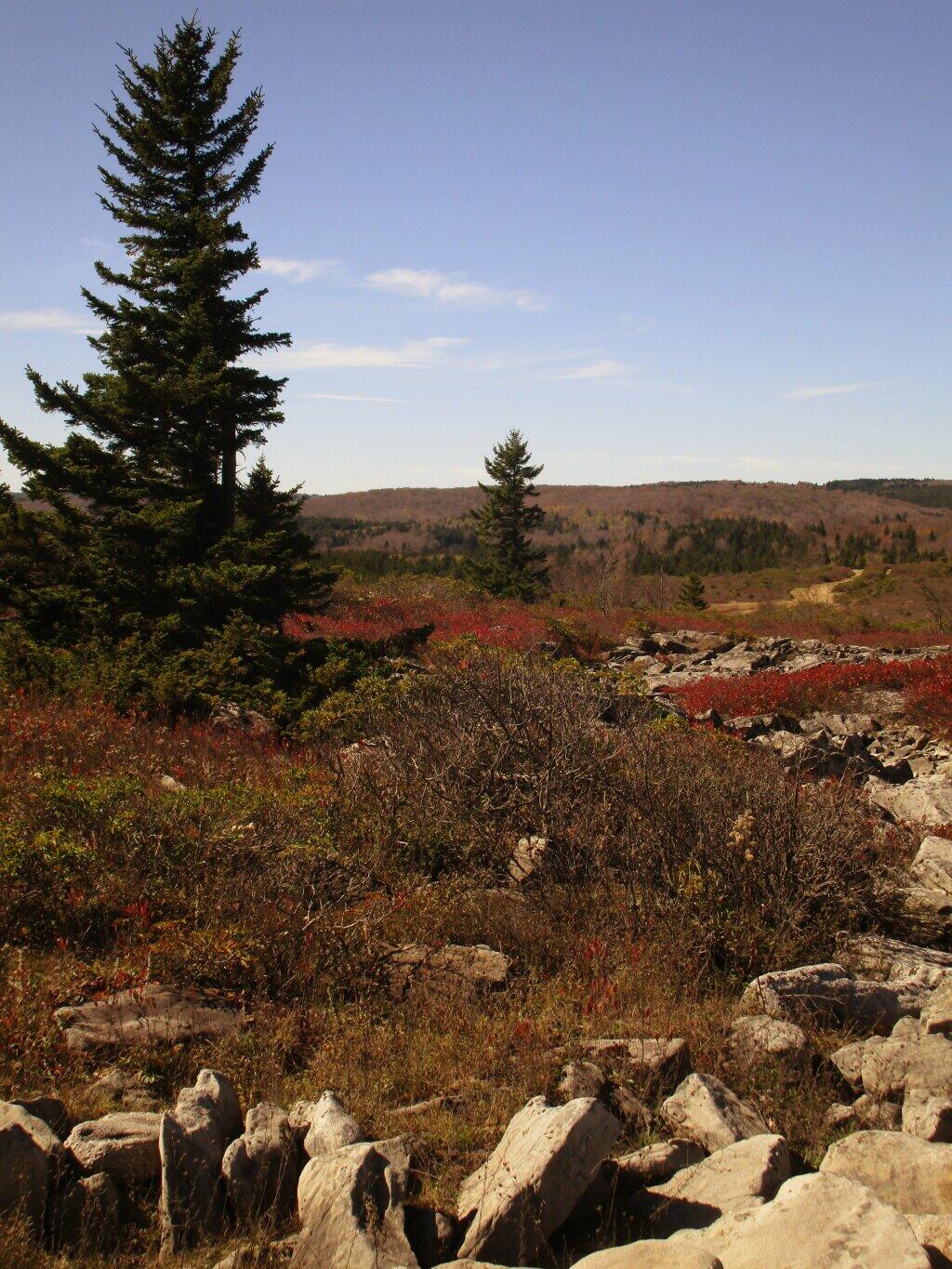 Photo: Wilderness Photo: Wilderness