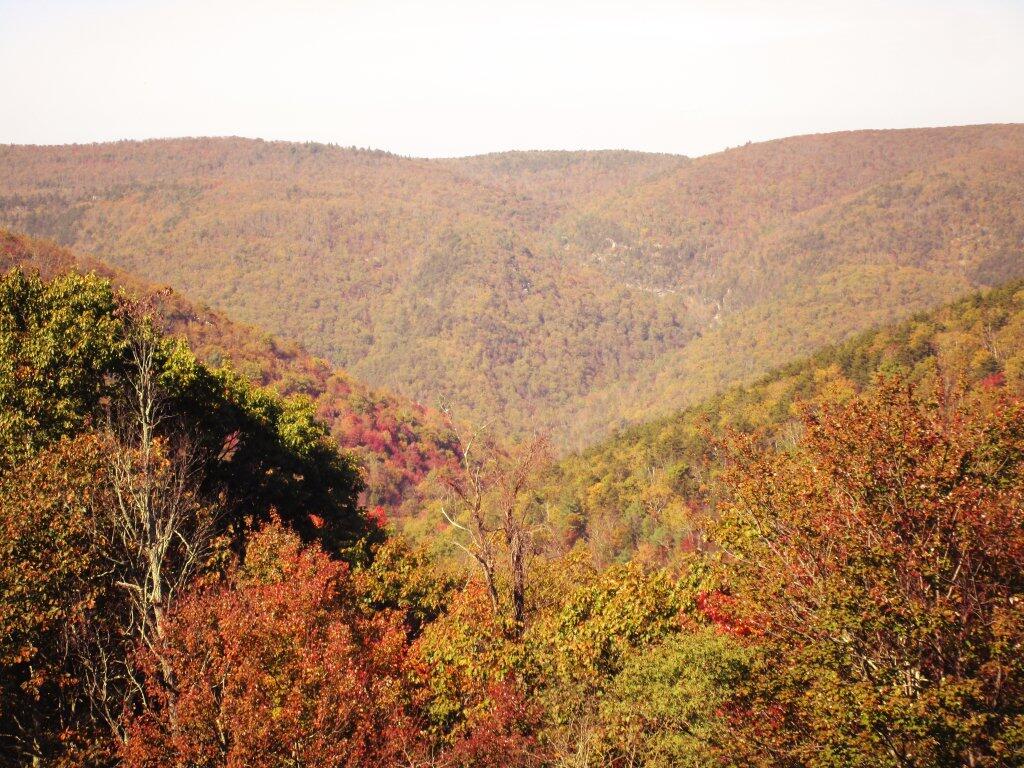 Photo: Along The Blue Ridge Parkway Photo: Along The Blue Ridge Parkway