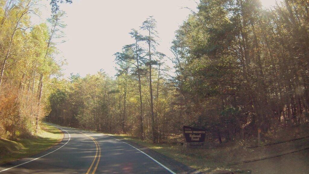 Photo: Entering George Washington National Forest Photo: Entering George Washington National Forest